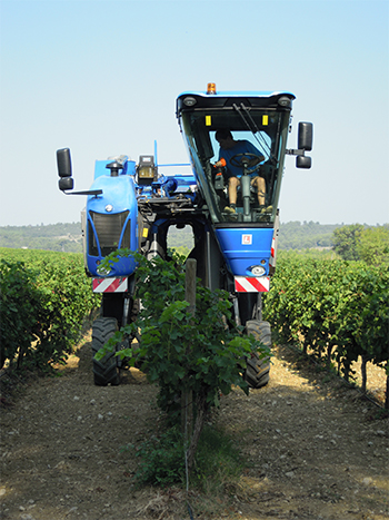 Machine à vendanger